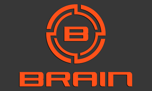 Brain