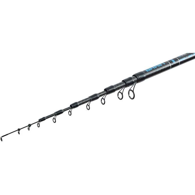 Вудилище болонське Brain Scout Neo Bolo 4800 4.75m 50-120g