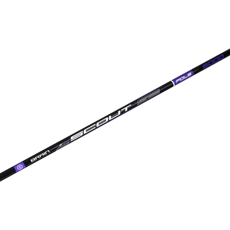 Вудилище махове Brain Scout SE Pole 6m